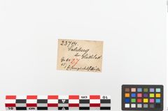 Etiketten zu Eisengürtelhaken (NHMW-PRAE-023714)